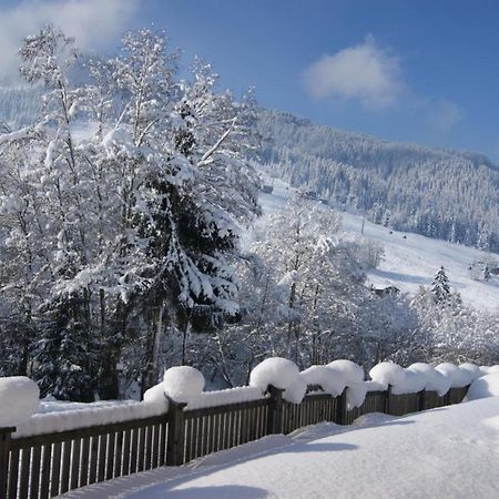 Alpbach Loft Apartment Exterior photo